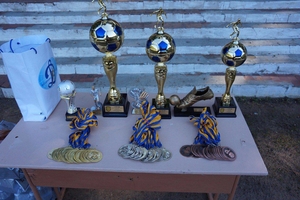 Новини Вінниці / Футбольні змагання пам’яті видатного тренера Петра Горлицького відбулись на Вінниччині (ФОТО) 