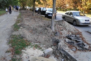 Новини Вінниці / Понад 30 дерев пошкодили екскаватором у Вінниці. Будівельникам "рекомендували" відновити насадження (ФОТО)