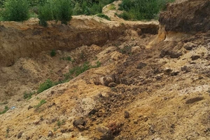 Новини Вінниці / На Вінниччині незаконно розробляли кар'єр з піском 