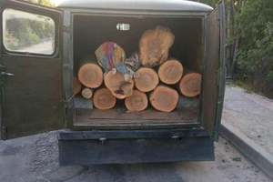 Новини Вінниці / "Очищення" лісу по вінницьки: за тиждень поліцейські задокументували 9 фактів незаконної порубки деревини (ФОТО)