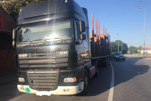 Новини Вінниці / "Очищення" лісу по вінницьки: за тиждень поліцейські задокументували 9 фактів незаконної порубки деревини (ФОТО)