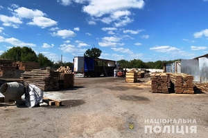 Новини Вінниці / На Вінниччині незаконно вирізали ліс Міноборони (ФОТО)