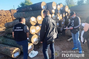 Новини Вінниці / На Вінниччині незаконно вирізали ліс Міноборони (ФОТО)