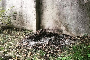 Новини Вінниці / Багаття посеред вулиці: сусіди "здали" вінничанку, яка отруювала район димом (ФОТО)