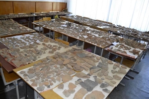 Новини Вінниці / У Вінницькому педуніверситеті створюють музей археології (ФОТО)