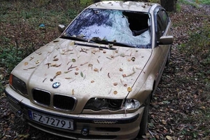 Новини Вінниці / Розшукували всім містом, але здався сам: затримали водія BMW, який насмерть збив вінничанина та втік 