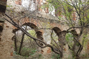 Новини Вінниці / Втрачене місто: на Вінниччині зникає Межирів, один з найдавніших центрів регіону (ФОТО, ВІДЕО)