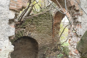 Новини Вінниці / Втрачене місто: на Вінниччині зникає Межирів, один з найдавніших центрів регіону (ФОТО, ВІДЕО)