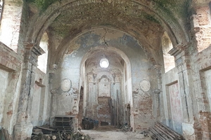 Новини Вінниці / Втрачене місто: на Вінниччині зникає Межирів, один з найдавніших центрів регіону (ФОТО, ВІДЕО)