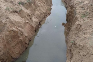 Новини Вінниці / Про черговий факт незаконного видобутку піску на Вінниччині заявили у Держекоінспекції (ФОТО)