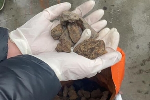 Новини Вінниці / Бурштинова справа на Вінниччині: на хабарі затримано митника (ФОТО)