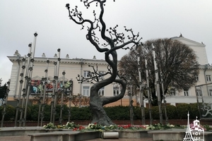 Новини Вінниці / "Це честь - віддати найцінніше за свою державу": у Вінниці молоді активісти вшанували пам'ять Героїв Небесної Сотні (ФОТО, ВІДЕО)