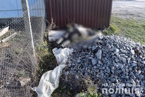 Новини Вінниці / У Козятинському районі на Вінниччині двоє молодиків побили товариша по чарці й залишили помирати на зупинці (ФОТО)