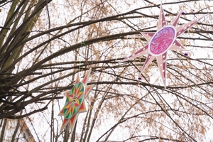 Новини Вінниці / Центр Вінниці прикрасили нестандартними різдвяними зірками (ФОТО)