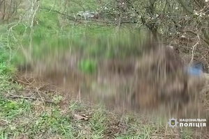 Новини Вінниці / Жахливе вбивство молодої жінки на Вінниччині: тіло зловмисник засипав гіллям