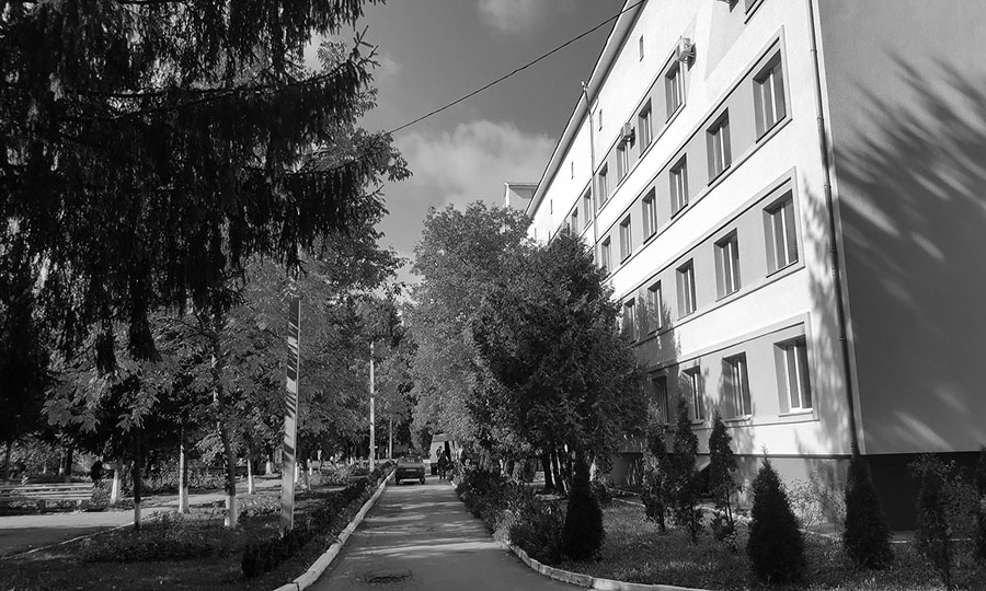 23331272 1818639838426260 6870626791664423852 o