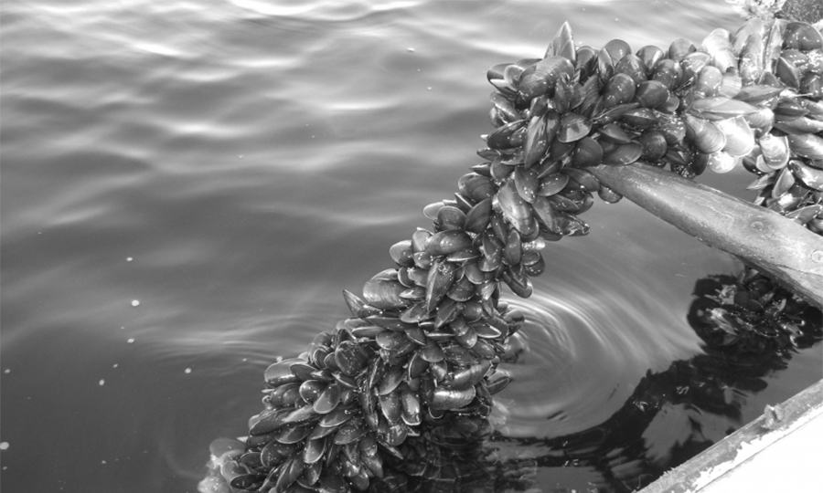 %d0%bc%d0%b8%d0%b4%d0%b8%d0%b8