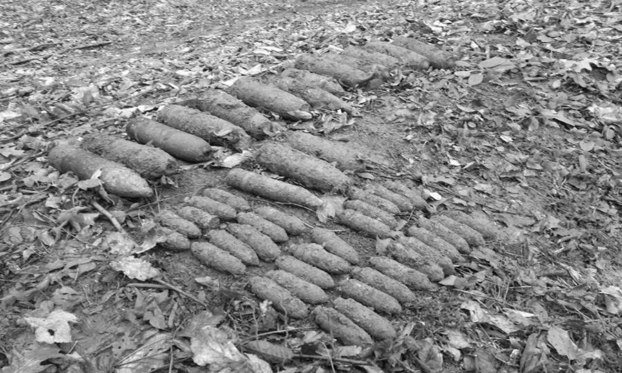 Новини Вінниці / На Вінниччині діти у лісі замість первоцвітів знайшли артснаряди