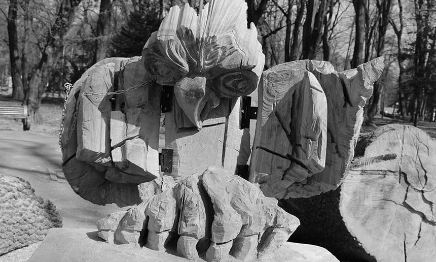 Новини Вінниці / У Центральному парку Вінниці «поселилася» незвичайна сова 