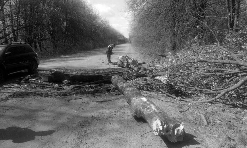 Деревопад на Вінниччині додав роботи рятувальникам (ФОТО) / Новости Винницы и области / Інформаційний портал На Париже Новини Вінниці / Деревопад на Вінниччині додав роботи рятувальникам (ФОТО)