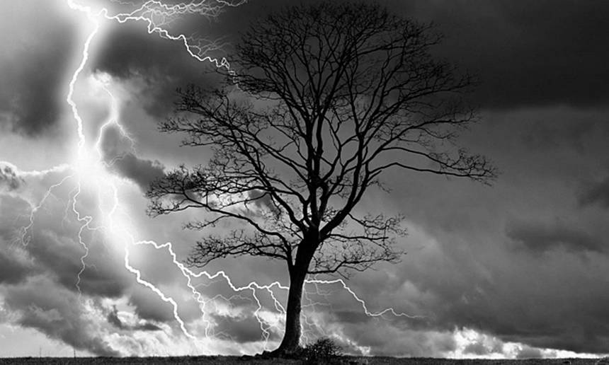 Новини Вінниці / Енергетики повідомили про масштабні наслідки учорашньої негоди на Вінниччині