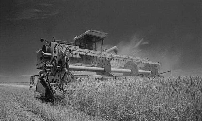 Аграрії Вінниччини розпочали жнивну кампанію / Новости Винницы и области / Інформаційний портал На Париже Новини Вінниці / Аграрії Вінниччини розпочали жнивну кампанію