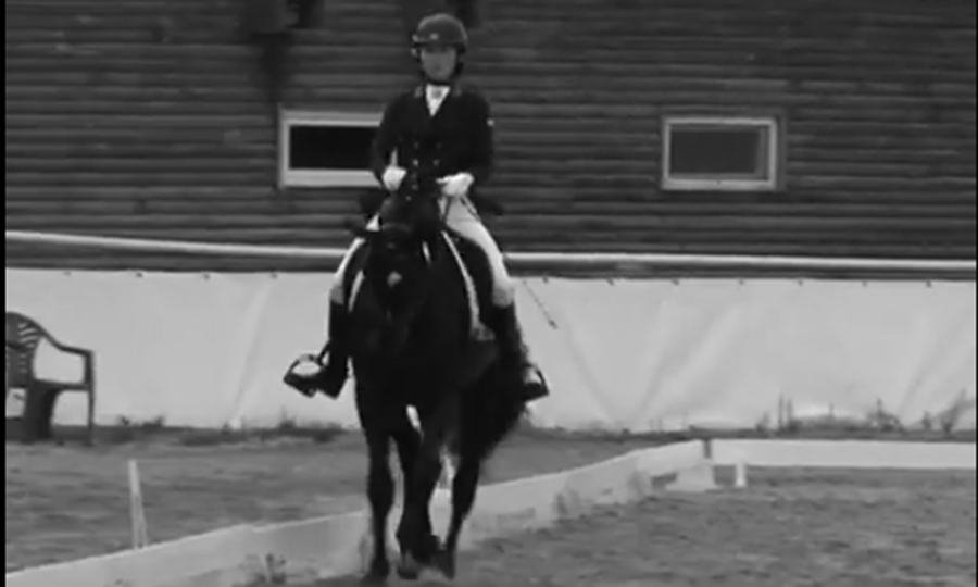 Новини Вінниці / Двоє вершниць із Вінниці здобули перемогу на відкритому регіональному турнірі з кінного спорту, що відбувся у Києві (ВІДЕО)