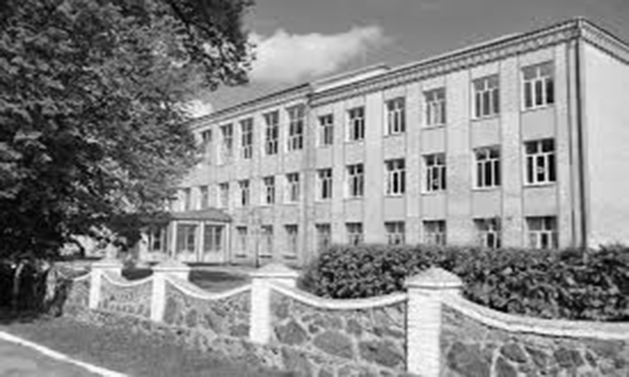 Новини Вінниці / Брацлавський коледж приймає дітей на навчання, а ліквідація закладу триває