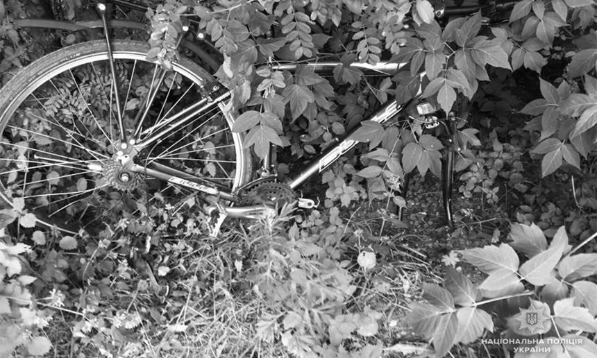 Новини Вінниці / Жахлива ДТП на Вінниччині: під колеса авто потрапили двоє дітей