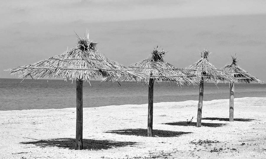 Новини Вінниці / Куди вінничани їдуть відпочивати цього літа? (ВІДЕО)