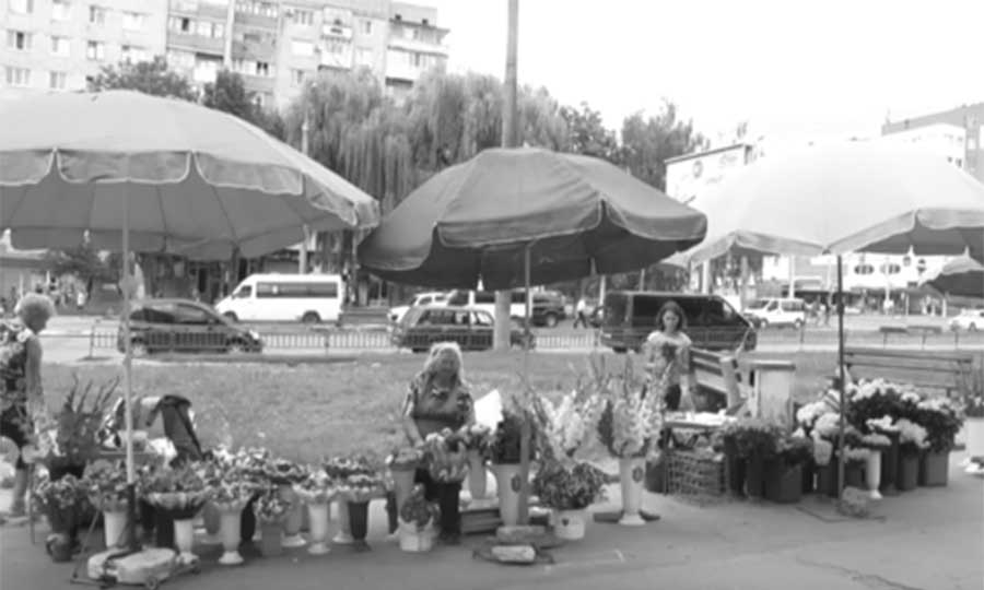 Новини Вінниці / У Вінниці збудують новий квітковий павільйон. Торговцям зі «стихії» дали час на роздуми