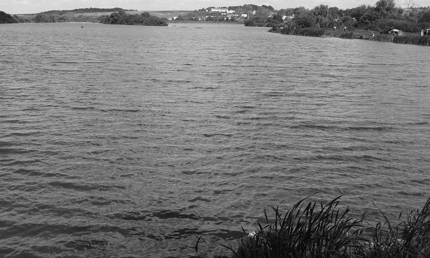 Новини Вінниці / Мешканець Вінниччини виявив труп людини