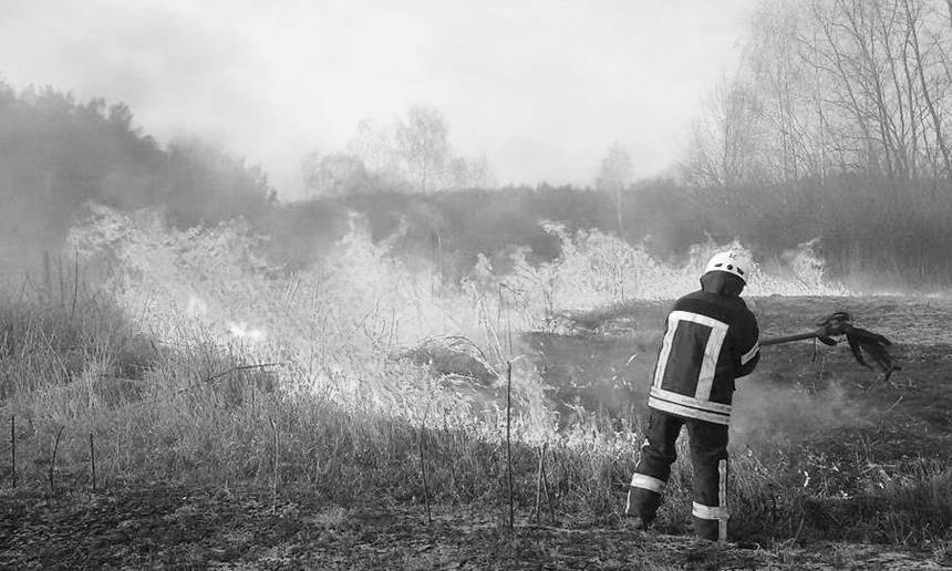 Новини Вінниці / Через людську недбалість на Вінниччині горять рослини й гинуть тварини