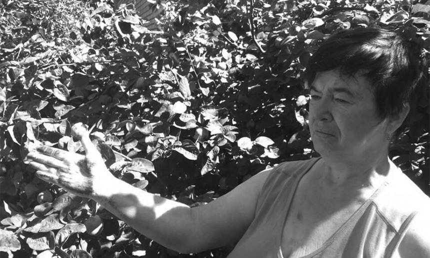 Новини Вінниці / Нічна сажа: на Вінниччині завод пропонує компенсувати селянам збитки від викидів 