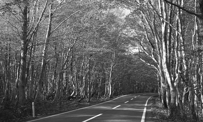 Чому на Вінниччині у негоду водіям та пішоходам слід обирати безпечний шлях? / Новости Винницы и области / Інформаційний портал На Париже Новини Вінниці / Чому на Вінниччині у негоду водіям та пішоходам слід обирати безпечний шлях?