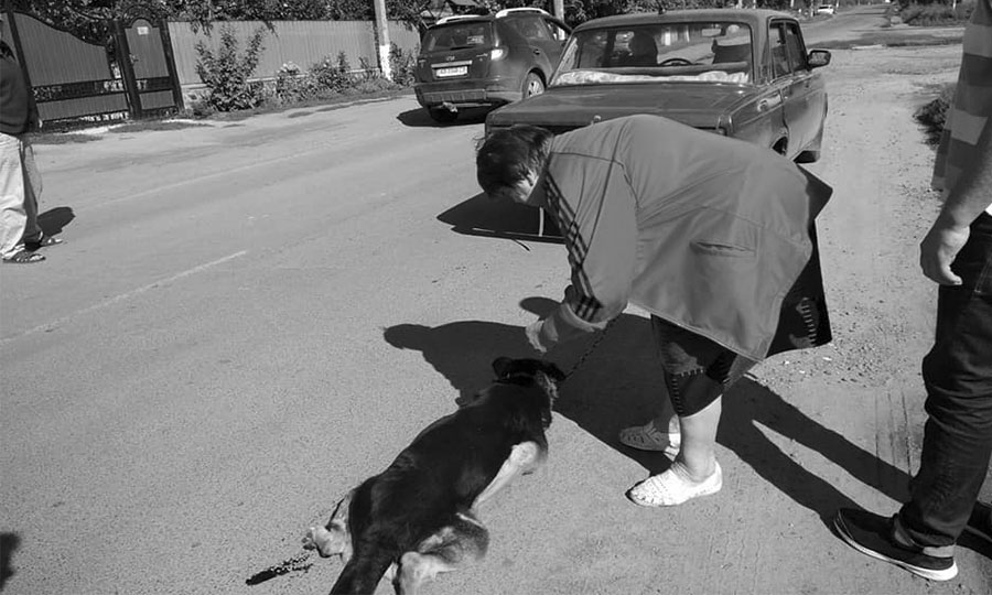 %d1%81%d0%be%d0%b1%d0%b0%d0%ba%d0%b0