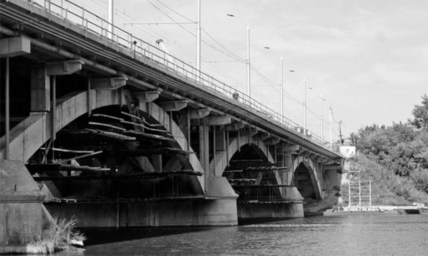 Новини Вінниці / У Вінниці Київський міст прикрасять фігурами тварин?