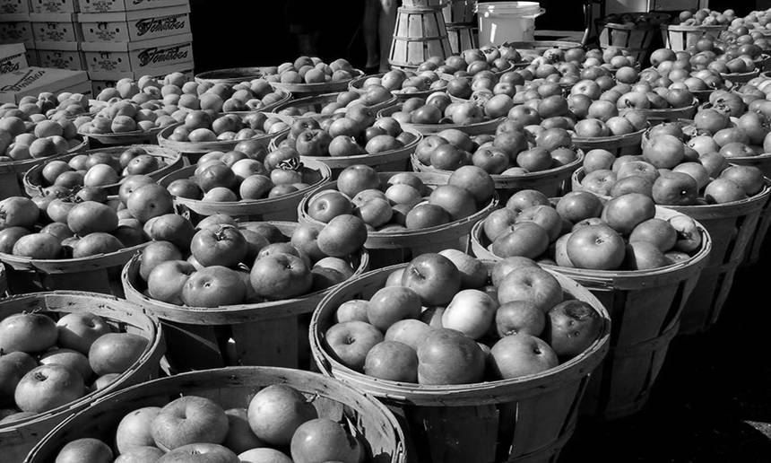 Новини Вінниці / АPPLE BAR: у Бару вдруге відбудеться Міжнародний фестиваль яблук