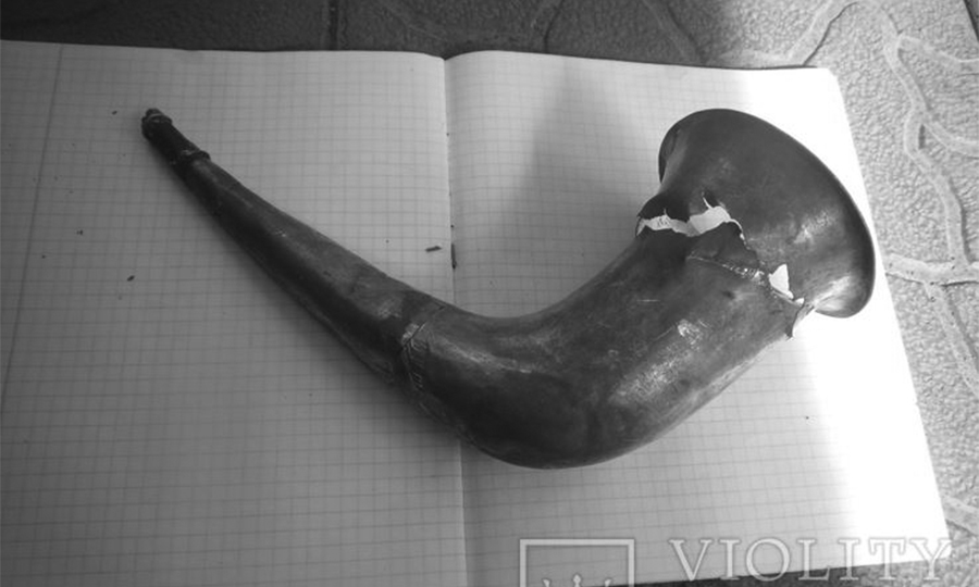 Новини Вінниці / Придбаний у серпні на аукціоні скіфський срібний ритон з Вінниччини «впливова особа» згодна викупити значно дорожче