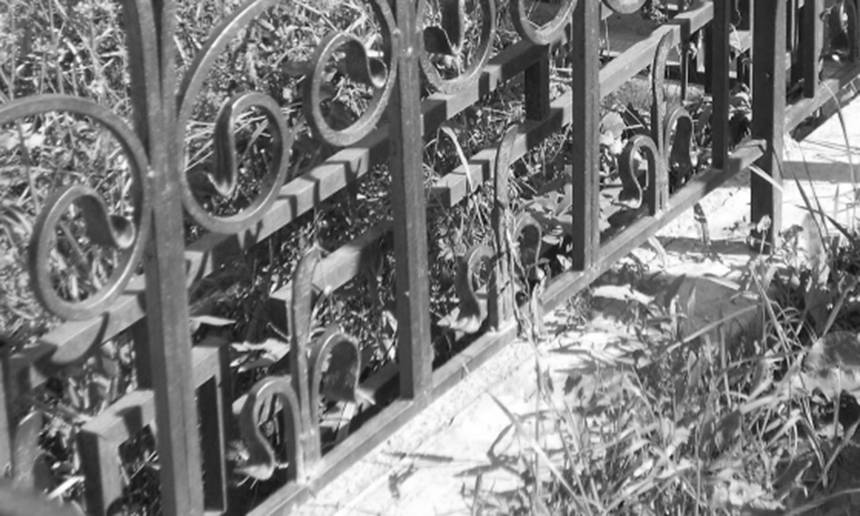 Новини Вінниці / Барчанин крав огорожу на кладовищі і здавав її на металобрухт. Чоловіка затримали правоохоронці