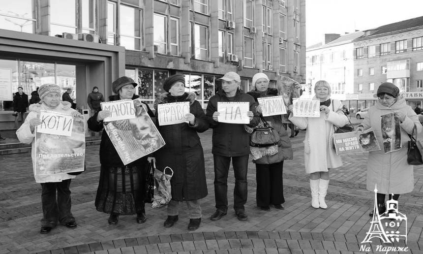 Новини Вінниці / Чому котів у Вінниці не визнали частиною міської екосистеми та мешканцями міста?
