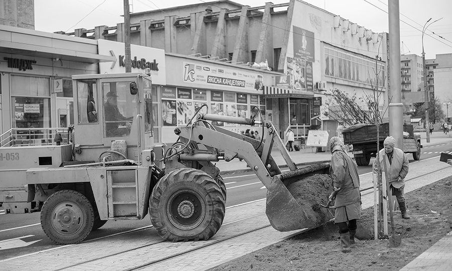 Новини Вінниці / У Вінниці озеленюють вулицю Замостянську (ВІДЕО)