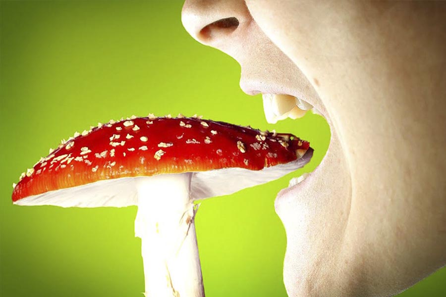 Новини Вінниці / На Вінниччині зареєстрована рекордна кількість отруєнь від грибів