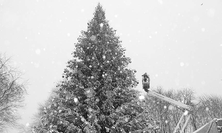 Новини Вінниці / У Вінниці на відкритті ялинки виступатиме ХАС