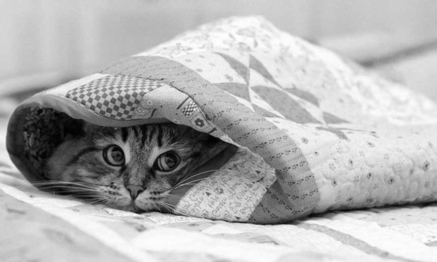 Новини Вінниці / У "Вінницяміськтеплоенерго" пояснили, чому припинили подавати теплоносії у низку будинків, що в мікрорайоні "Вишенька"