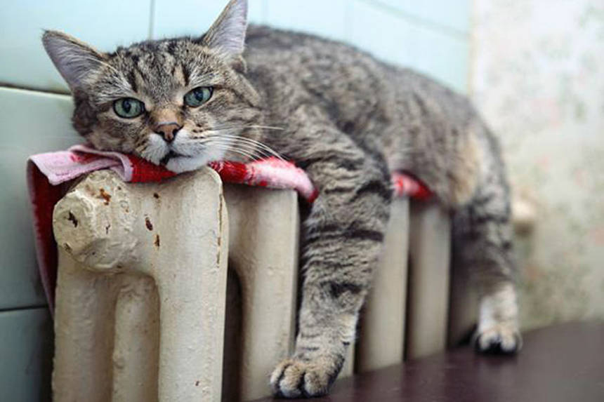 Новини Вінниці / За тепло і гарячу воду вінничани заборгували майже 130 мільйонів гривень