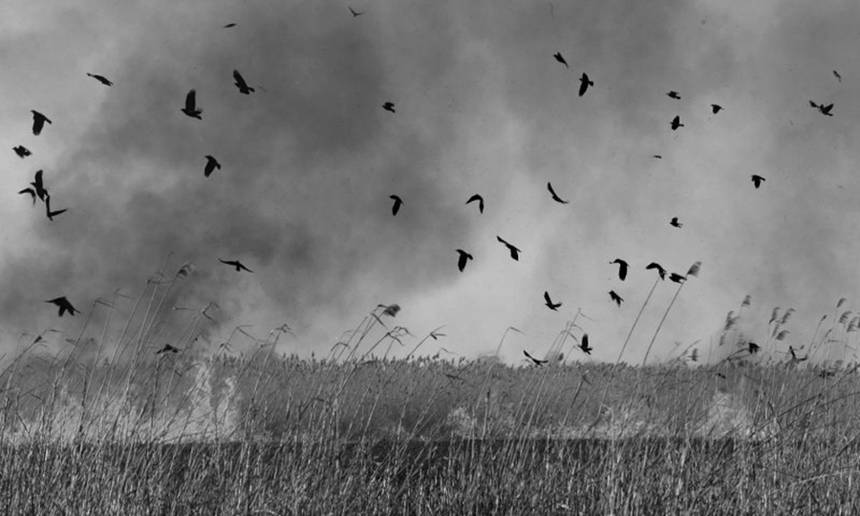 Новини Вінниці / Зима минає: на Вінниччині зафіксовані перші випадки пожеж в екосистемах