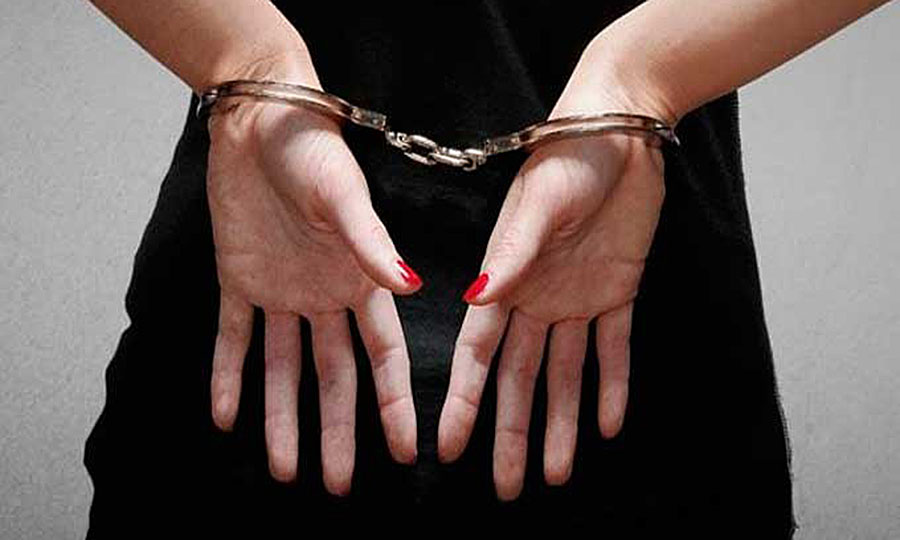 Новини Вінниці / На Вінниччині орудували крадійки, які представлялися «покупцями пір'я»