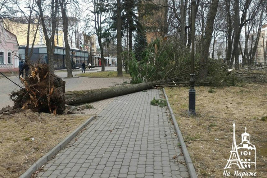 Новини Вінниці / Неподалік вежі у Вінниці негода вирвала дерево із корінням, в театрі Садовського пошкодила дах (ФОТО)