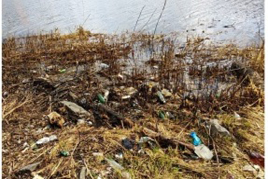 Новини Вінниці / До Всесвітнього дня води у Вінниці влаштовують «сміттєвий» флешмоб. Вінничан запрошують прибрати берег Вишенського озера та «Бригантину»